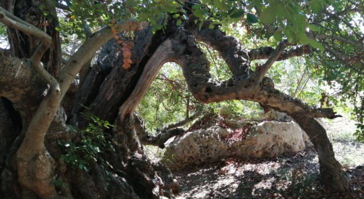 Old Roman Road, Pilgrims Way, Xemxija Heritage Trail