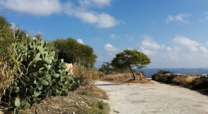 A walk around Delimara Xrobb l-Ghagin il-Hofriet