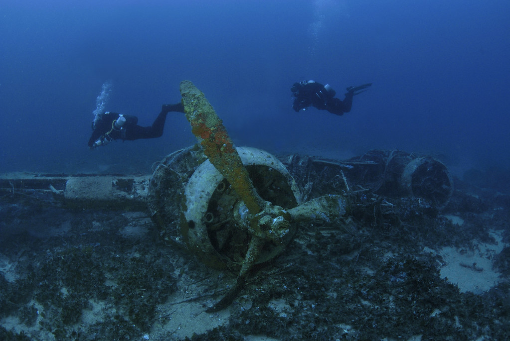 Blenheim Bomber's propeller